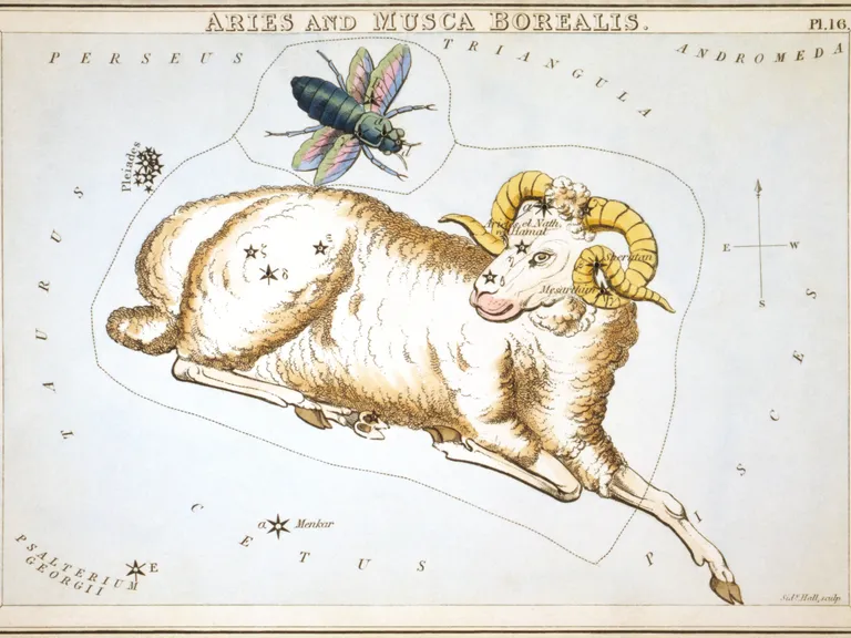 Aries as drawn in Sidney Hall's star chart Urania's Mirror (1825)
