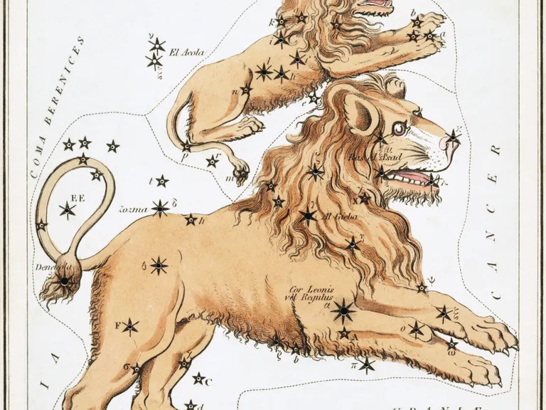 Leo as drawn in Sidney Hall's star chart Urania's Mirror (1825)