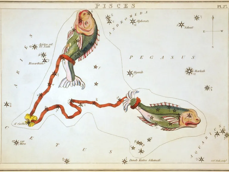 Pisces as drawn in Sidney Hall's star chart Urania's Mirror (1825)