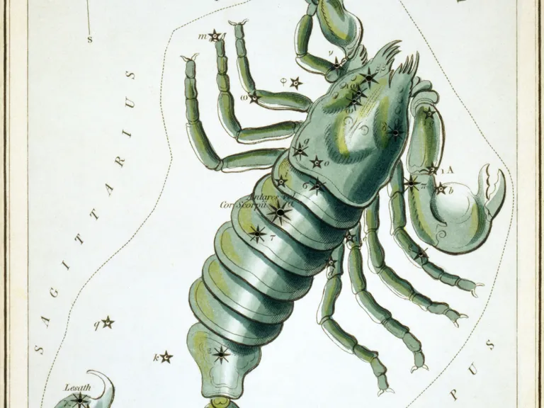 Scorpio as drawn in Sidney Hall's star chart Urania's Mirror (1825)
