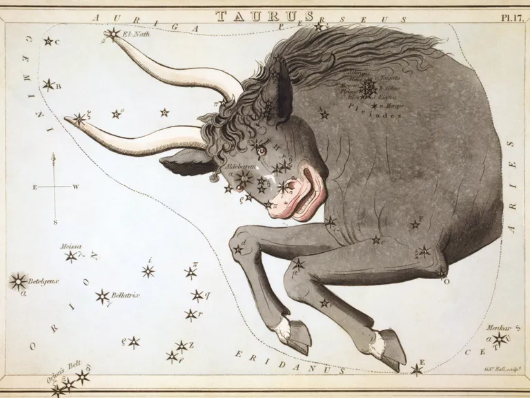 Taurus as drawn in Sidney Hall's star chart Urania's Mirror (1825)